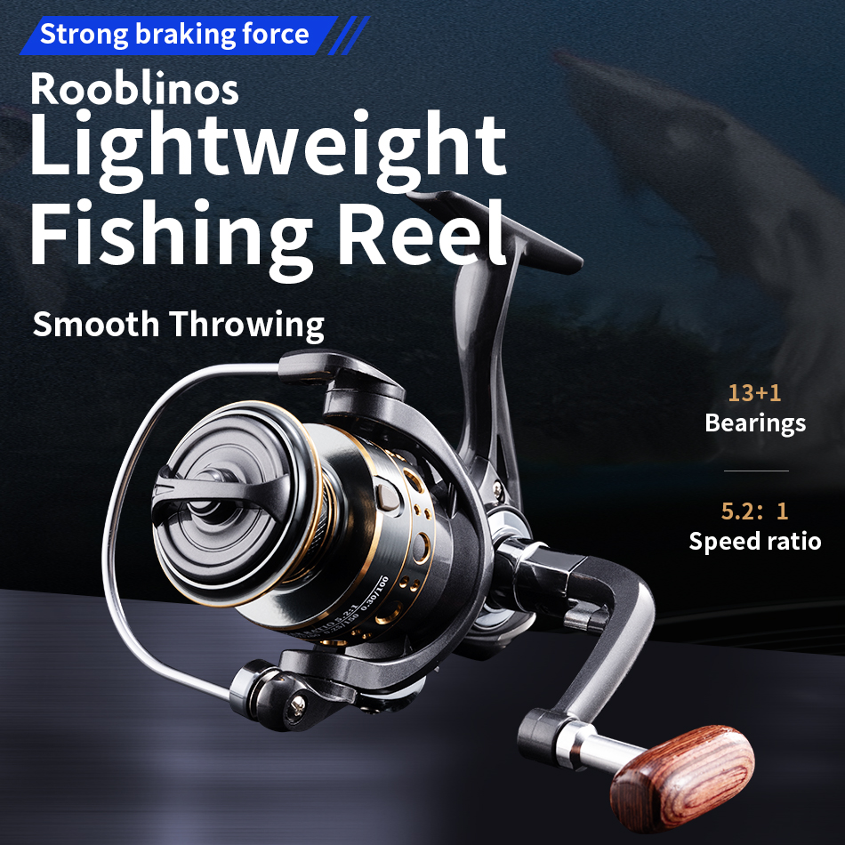 Rooblinos BK Spinning Fishing  – Trolling Reel Bewertung und Preis
