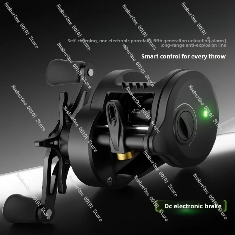 Electronic Magnetic Brake Fish – Conventional Reel Bewertung und Preis